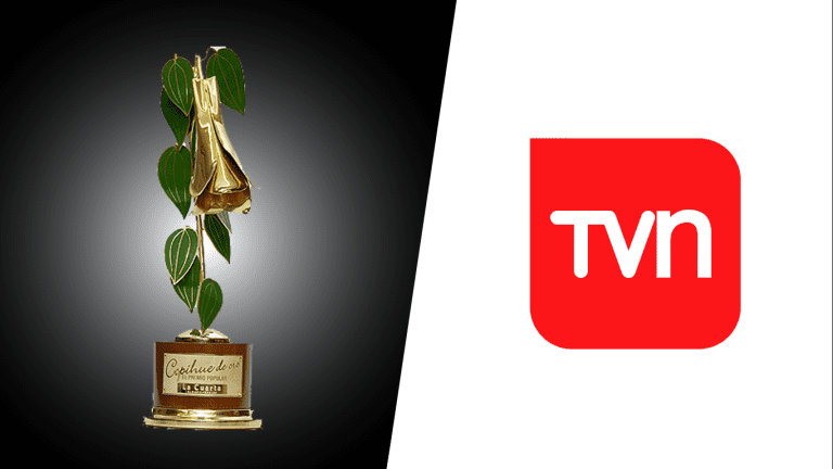Los «Copihue de Oro 2019» serán transmitidos por TVN Los «Copihue de Oro 2019» serán transmitidos por TVN