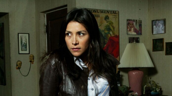 Loreto Aravena