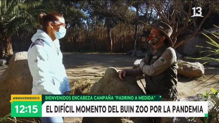 Bienvenidos se la juega por los animales del BuinZoo
