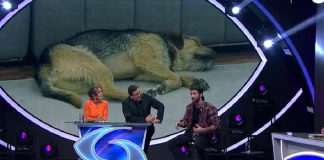 Gran Hermano Chile - Lucas Crespo