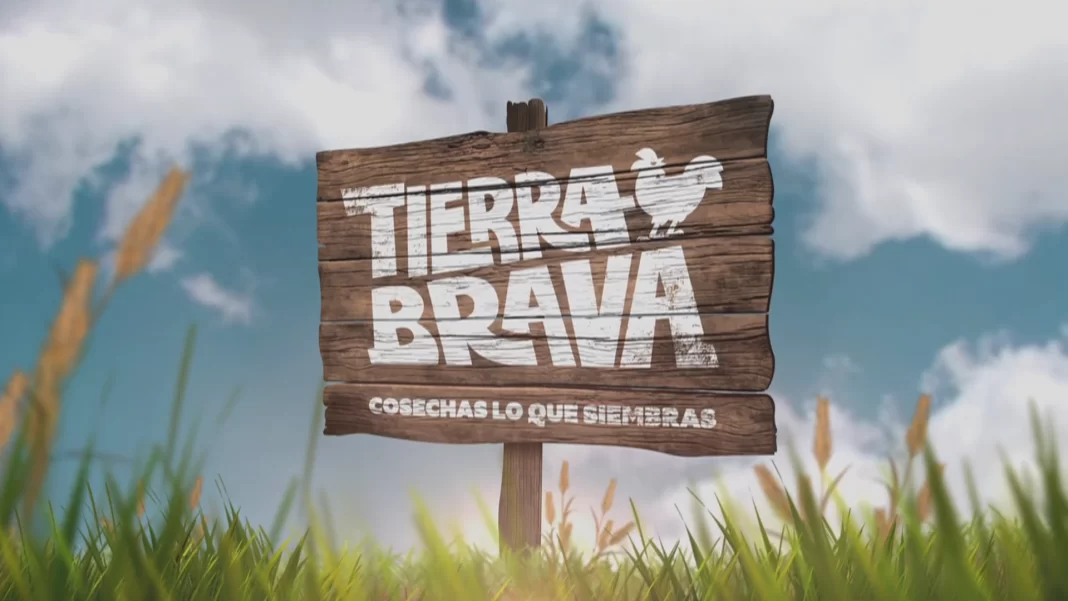 Tierra de récords: Reality de Canal 13 continúa imparable Tierra Brava - Canal 13
