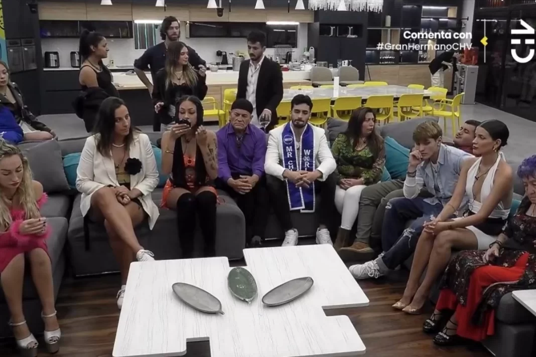 Gran hermano Gran hermano - Participantes