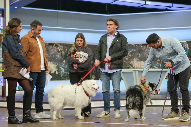 sebastian jimenez lindorfo buenos días a todos tvn