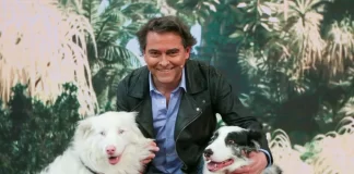 tvn lindorfo acción animal