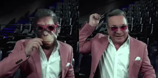 lucho jara robbie williams