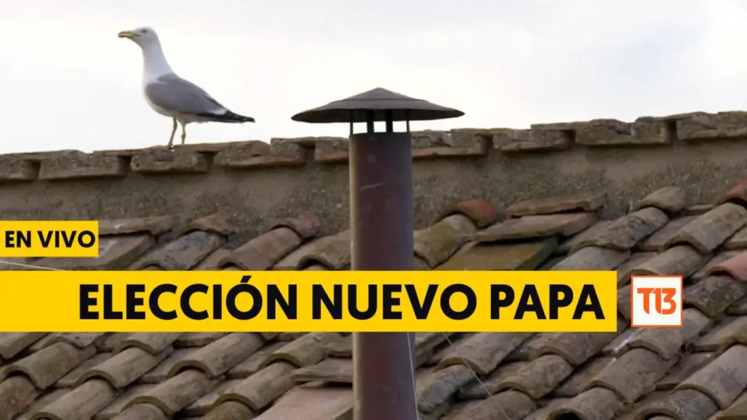 Canal 13 nuevo papa Canal 13 - nuevo papa