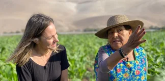 mariana derderian chilevision