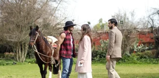 “Mi boda es una trampa”, mininovela Canal 13