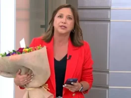 Mónica Pérez Canal 13 desplazada mapa político 2026