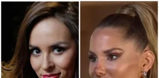 Fibre de baile ingresos